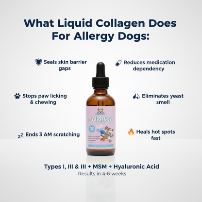Healthy Petz Premium Liquid Collagen