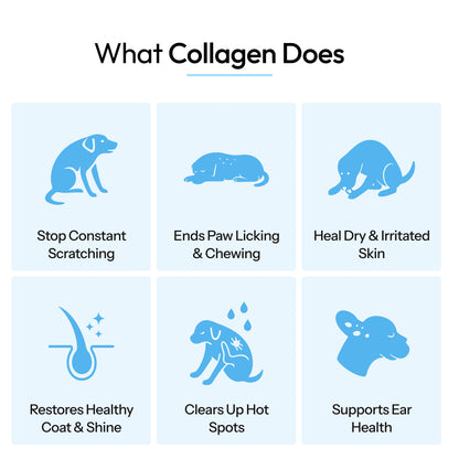 Healthy Petz Premium Liquid Collagen