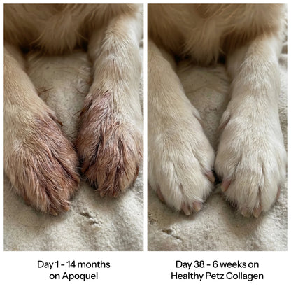 Healthy Petz Premium Liquid Collagen